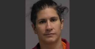 Tanya Perez Faces Charges for Leaving Children Alone at Florida Welcome Center